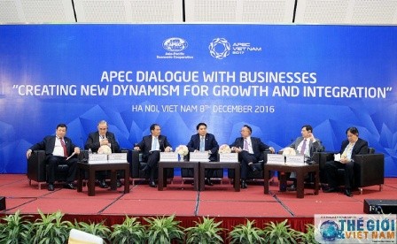 Gợi mở nhiều ý tưởng tăng cường hợp tác APEC năm 2017  - ảnh 1