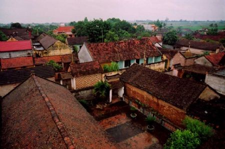 Làng và các thành tố tạo nên diện mạo làng Việt Nam - ảnh 2