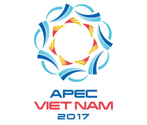 Việt Nam nỗ lực cùng APEC hướng tới tương lai - ảnh 1