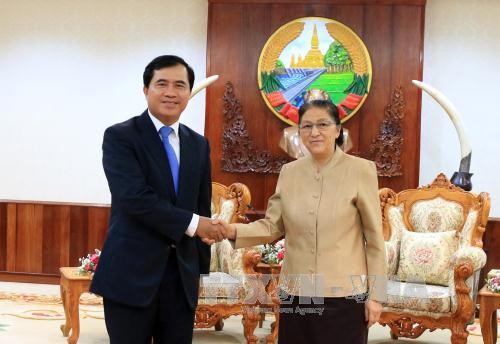 Việt Nam xúc tiến dự án xây dựng tòa nhà Quốc hội Lào - ảnh 1
