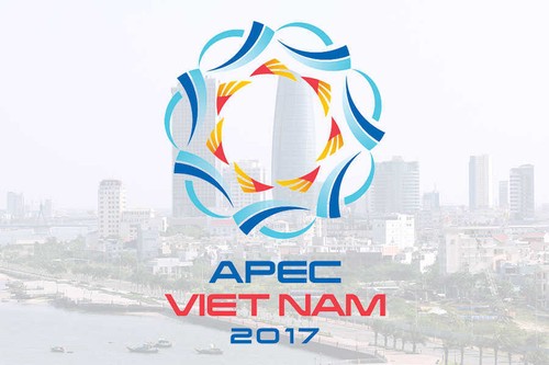 APEC 2017: Việt Nam phát huy vai trò chủ nhà cùng những đóng góp tích cực - ảnh 1