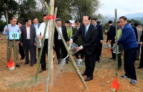 Tết trồng cây đời đời nhớ ơn Chủ tịch Hồ Chí Minh - ảnh 1