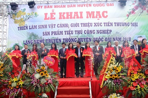 Tinh hoa nghệ thuật cây cảnh Việt Nam - ảnh 1