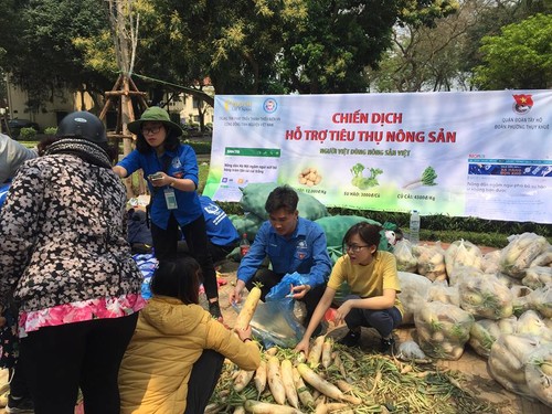 Tuổi trẻ Việt Nam: chung sức xây dựng quê hương - ảnh 2