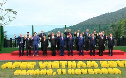 Chủ tịch nước Trần Đại Quang và những đóng góp lớn cho đối ngoại - ảnh 1
