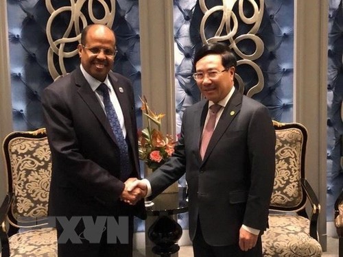 Phó Thủ tướng, Bộ trưởng Ngoại giao Phạm Bình Minh gặp Bộ trưởng Ngoại giao Djibouti Mahmoud Ali Yossouf - ảnh 1