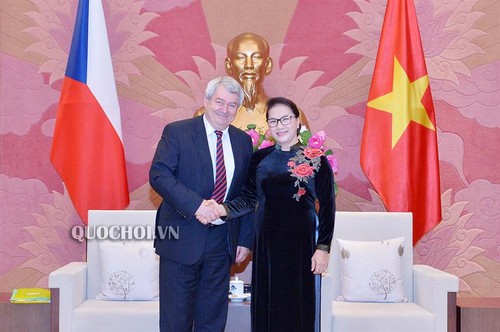 Chủ tịch Quốc hội Nguyễn Thị Kim Ngân tiếp Phó Chủ tịch Hạ viện Cộng hoà Czech - ảnh 1