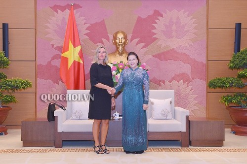 Chủ tịch Quốc hội Nguyễn Thị Kim Ngân tiếp Phó Chủ tịch Ủy ban châu Âu Federica Mogherini - ảnh 1