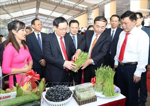 Phó Thủ tướng Vương Đình Huệ: Xây dựng nông thôn mới gắn với tái cơ cấu nông nghiệp, phát triển, kết nối với đô thị - ảnh 1