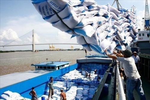 Hải quan mở hệ thống đăng ký tờ khai xuất khẩu số lượng gạo tồn tại cảng - ảnh 1