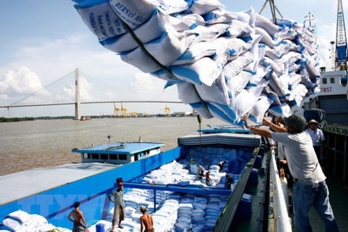 Xuất khẩu gạo Việt Nam sang thị trường châu Phi tiếp tục tăng  - ảnh 1