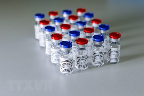 Việt Nam đặt mua vaccine phòng, chống COVID-19 của một số đối tác từ Nga và Anh - ảnh 1