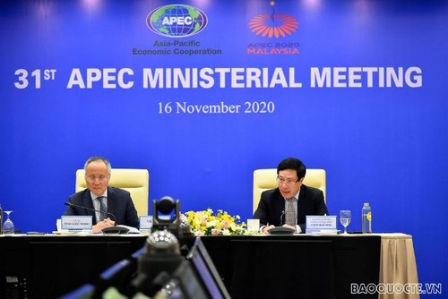 Việt Nam ủng hộ việc thông qua Tuyên bố của lãnh đạo APEC về Tầm nhìn sau 2020  - ảnh 1