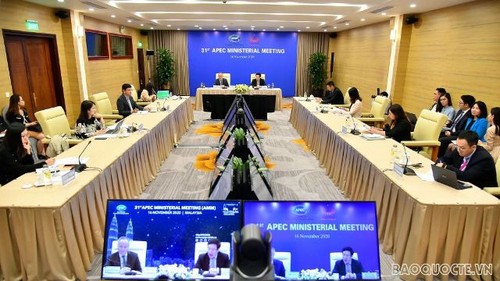 Việt Nam ủng hộ việc thông qua Tuyên bố của lãnh đạo APEC về Tầm nhìn sau 2020  - ảnh 2