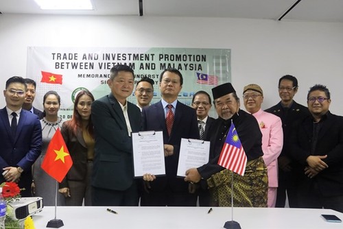 Doanh nghiệp Việt Nam và Malaysia thúc đẩy hợp tác - ảnh 1