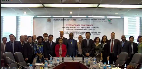 Thúc đẩy hợp tác giữa Việt Nam với các nước châu Phi và Trung Đông  - ảnh 1