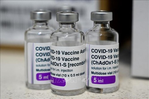 Argentina viện trợ cho Việt Nam 500.000 liều vaccine AstraZeneca - ảnh 1