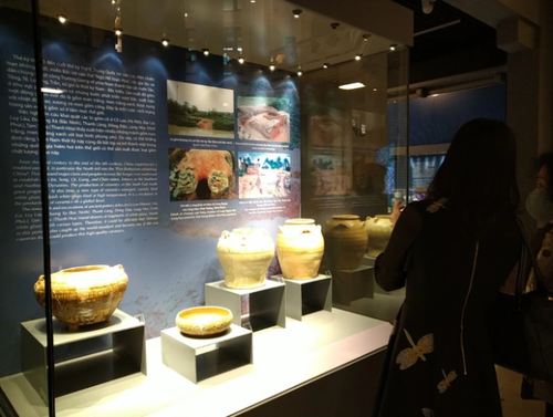Tôn vinh di sản văn hóa Việt Nam qua trưng bày gốm đặc sắc trải dài hơn 2.000 năm - ảnh 1