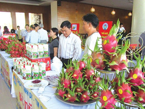 Nhiều sản phẩm từ trái thanh long được gắn sao OCOP Bình Thuận - ảnh 1