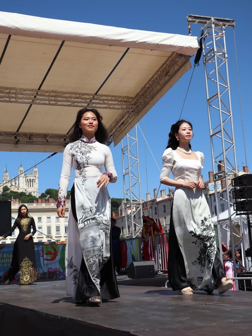 Quảng bá văn hóa Việt Nam tại Lễ hội Lyon ( Pháp) - ảnh 3