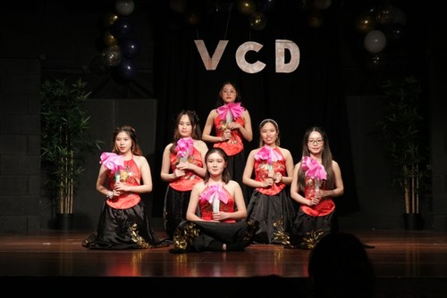 Ngày hội văn hóa Việt Nam 2023 tại Sheffield, Vương quốc Anh - ảnh 7