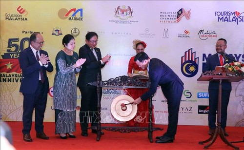 Khai mạc Tuần lễ Malaysia kỷ niệm 50 năm thiết lập quan hệ ngoại giao Việt Nam-Malaysia - ảnh 1