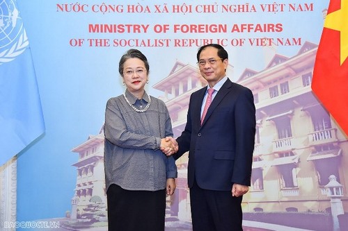 Hợp tác với Liên hợp quốc luôn giữ một vị trí quan trọng trong đường lối, chính sách đối ngoại của Việt Nam - ảnh 1