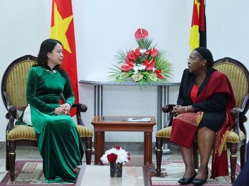 Phát triển quan hệ đoàn kết, hữu nghị truyền thống giữa Việt Nam và Mozambique  - ảnh 1
