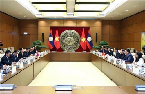 Quốc hội Việt Nam-Lào tăng cường hợp tác trong nghiên cứu lập pháp, thông tin, tư liệu - ảnh 1