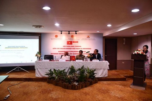 Doanh nghiệp Indonesia lạc quan trước triển vọng hợp tác kinh tế với Việt Nam  - ảnh 2