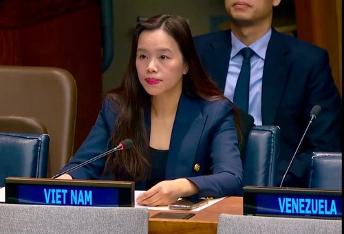 Việt Nam tiếp tục cam kết thực hiện hiệu quả Chương trình hành động về ngăn chặn, chống và xoá bỏ việc mua bán trái phép - ảnh 1
