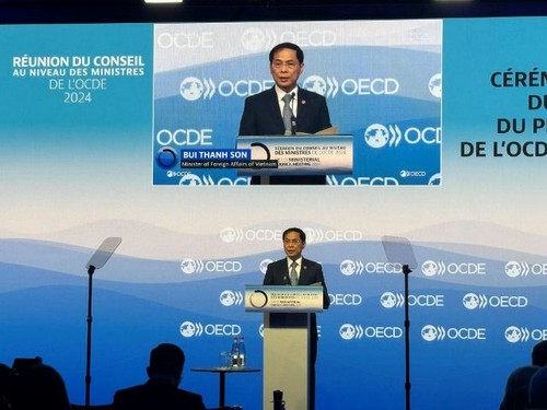 Bộ trưởng Ngoại giao Bùi Thanh Sơn tham dự Hội nghị Hội đồng Bộ trưởng OECD 2024 - ảnh 2