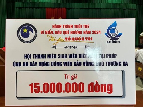 Người Việt trẻ tình nguyện vì cuộc sống cộng đồng - ảnh 4
