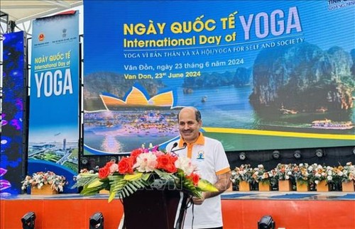 Hơn 1.000 người tham dự Ngày Quốc tế Yoga lần thứ 10 bên bờ vịnh Bái Tử Long - ảnh 1