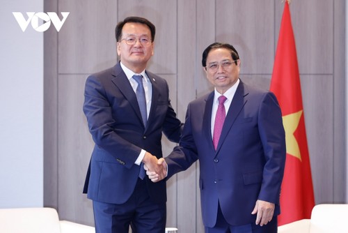Премьер-министр Фам Минь Тинь провел встречу с руководителями ведущих южнокорейских корпораций, желающих расширить инвестиции во Вьетнаме - ảnh 1