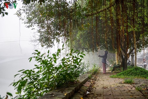 Breathtaking scenery of ancient Hue amid fog in late winter - ảnh 11