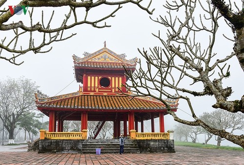Breathtaking scenery of ancient Hue amid fog in late winter - ảnh 5