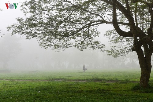 Breathtaking scenery of ancient Hue amid fog in late winter - ảnh 8