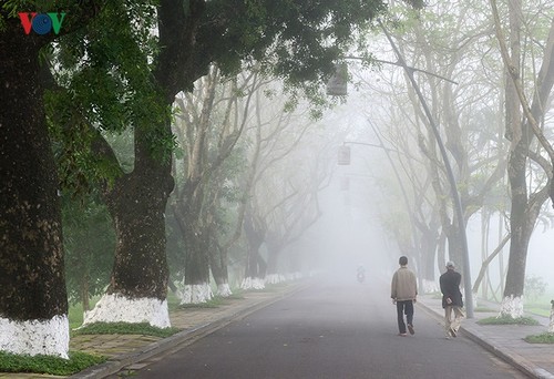 Breathtaking scenery of ancient Hue amid fog in late winter - ảnh 9