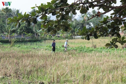 Một ngày trải nghiệm du lịch cộng đồng ở làng quê Yên Đức, Quảng Ninh - ảnh 12