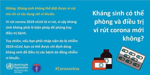 WHO và Bộ Y tế giải đáp mọi thắc mắc về chống virus corona - ảnh 11