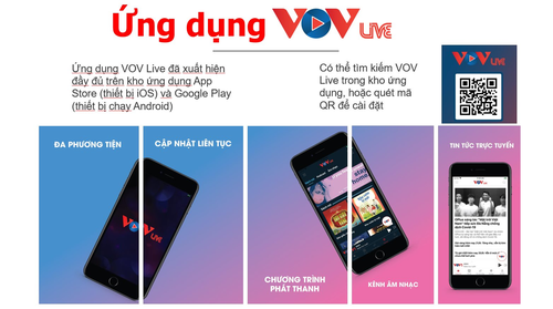 PGS.TS Nguyễn Thế Kỷ: VOVlive sẽ sớm được công chúng đón nhận, lan tỏa giá trị của Đài Tiếng nói Việt Nam - ảnh 3