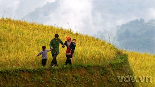 Supervisan en Vietnam entrega de tierras a compatriotas étnicos - ảnh 1