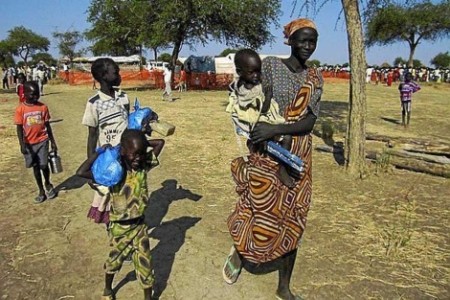 Sudán del Sur: a un año de la independencia - ảnh 2