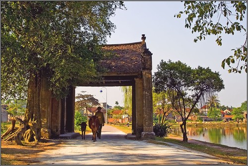 Viajes turísticos que conectan Hanoi con las zonas rurales - ảnh 1