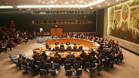 Consejo de Seguridad de la ONU condena ataques sirios con proyectiles a Turquía - ảnh 1