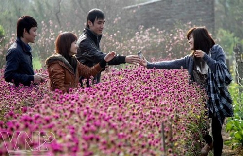 Primavera en la aldea de flores de Nhat Tan - ảnh 2