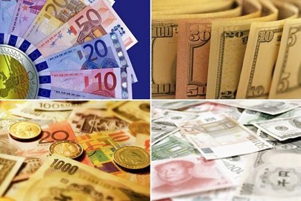Remesas a Vietnam en 2012 suman 10 mil millones de dólares - ảnh 1