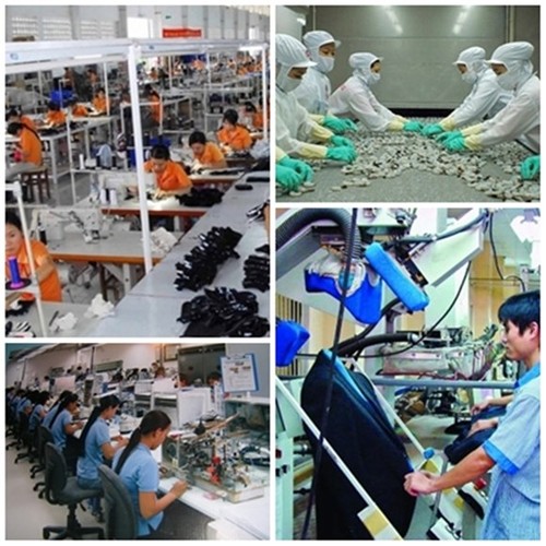 Vietnam muestra un desempeño activo en 5 años de incorporación a la OMC - ảnh 1