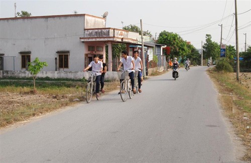 Cambios notables en la edificación campestre de Ciudad Ho Chi Minh - ảnh 1
